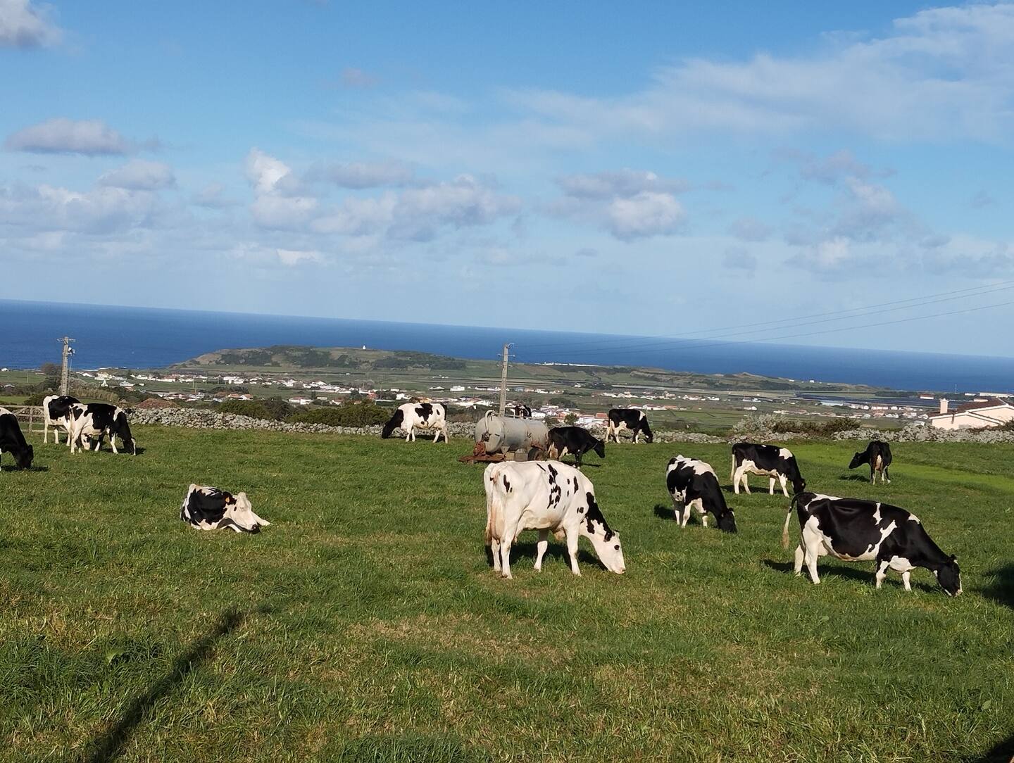 Surrounding Landscape